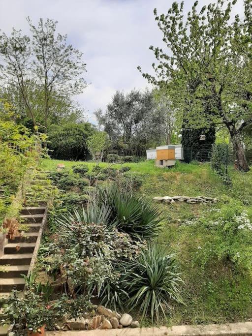Le 16 Villa Toulouse Exteriör bild
